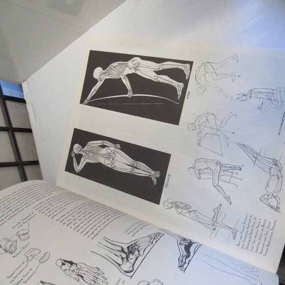 Anatomy, Vintage/Retro, Art book, Life Drawing, how to Draw, Nudity - Picture 4 of 5